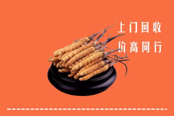附近收购：平阴县冬虫夏草回收多少钱每克