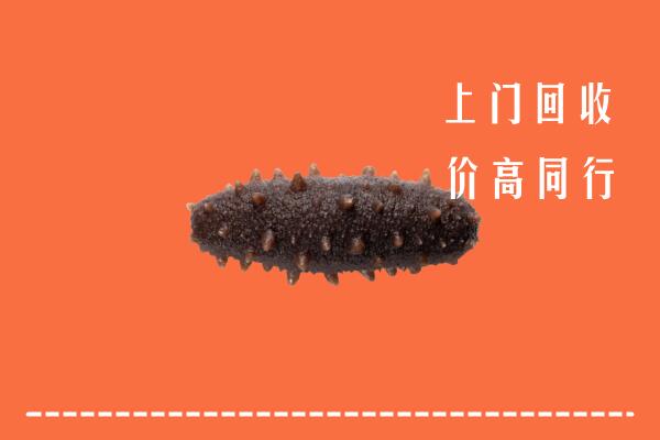 平阴县回收海参