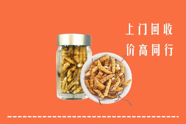 平阴县回收冬虫夏草